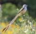 Title #0